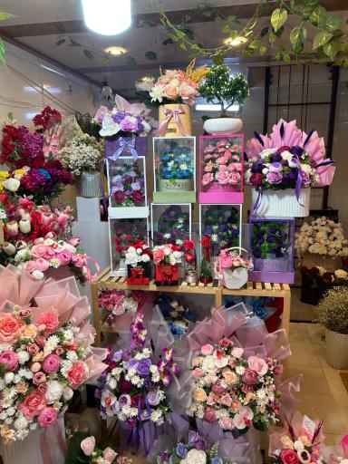 عکس گلفروشی ملودی 