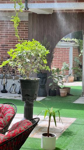 عکس کافه کاژه