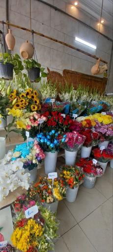 عکس سوپر گل احمدی 