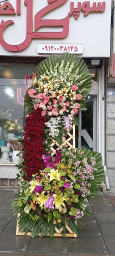 عکس سوپر گل احمدی 