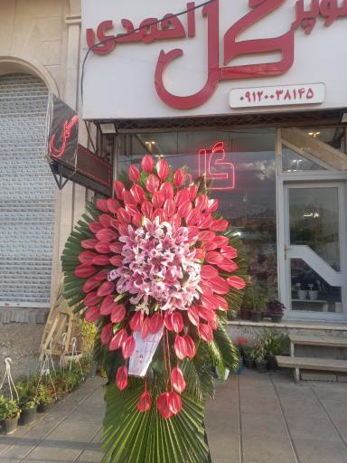 عکس سوپر گل احمدی 