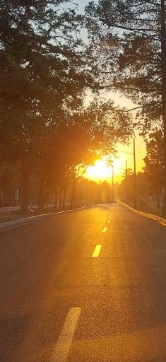 عکس بوستان جهان شهر