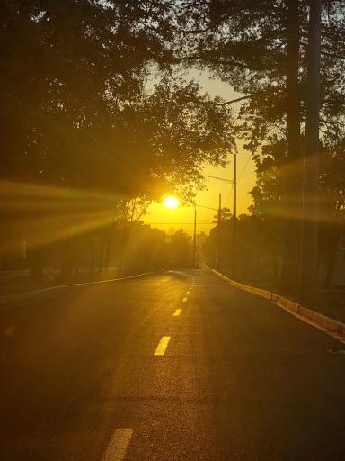 عکس بوستان جهان شهر