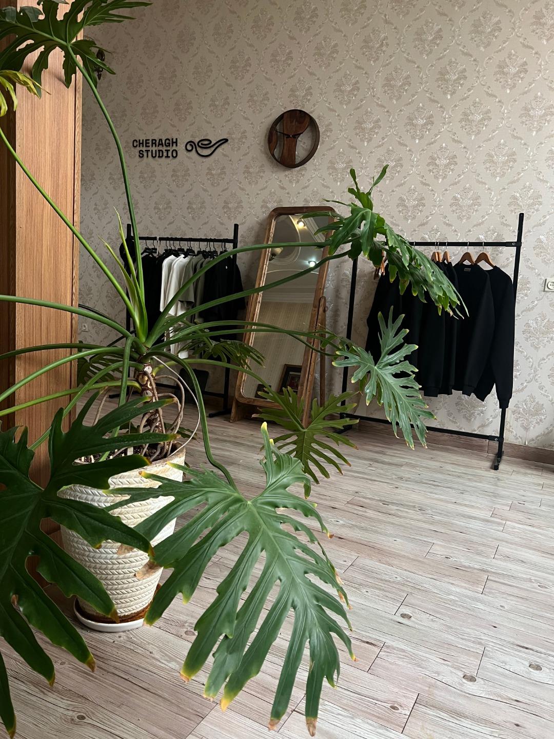 عکس استودیو چراغ