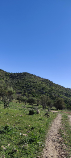 عکس انار مهر