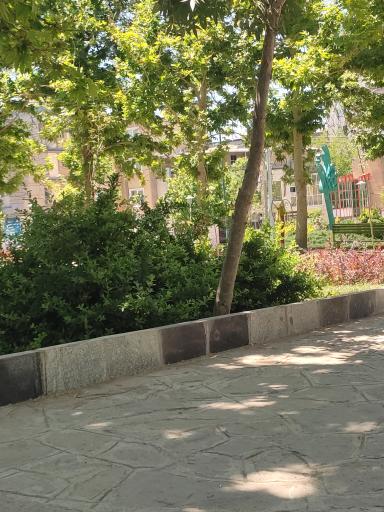 عکس بوستان شکری پور