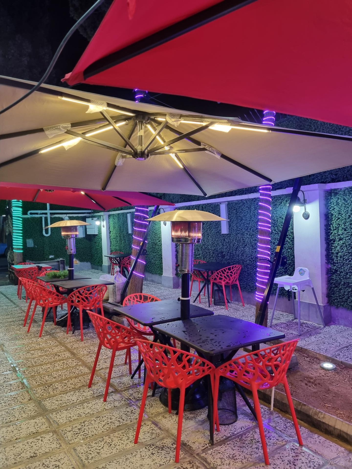 عکس تمشک وحشی