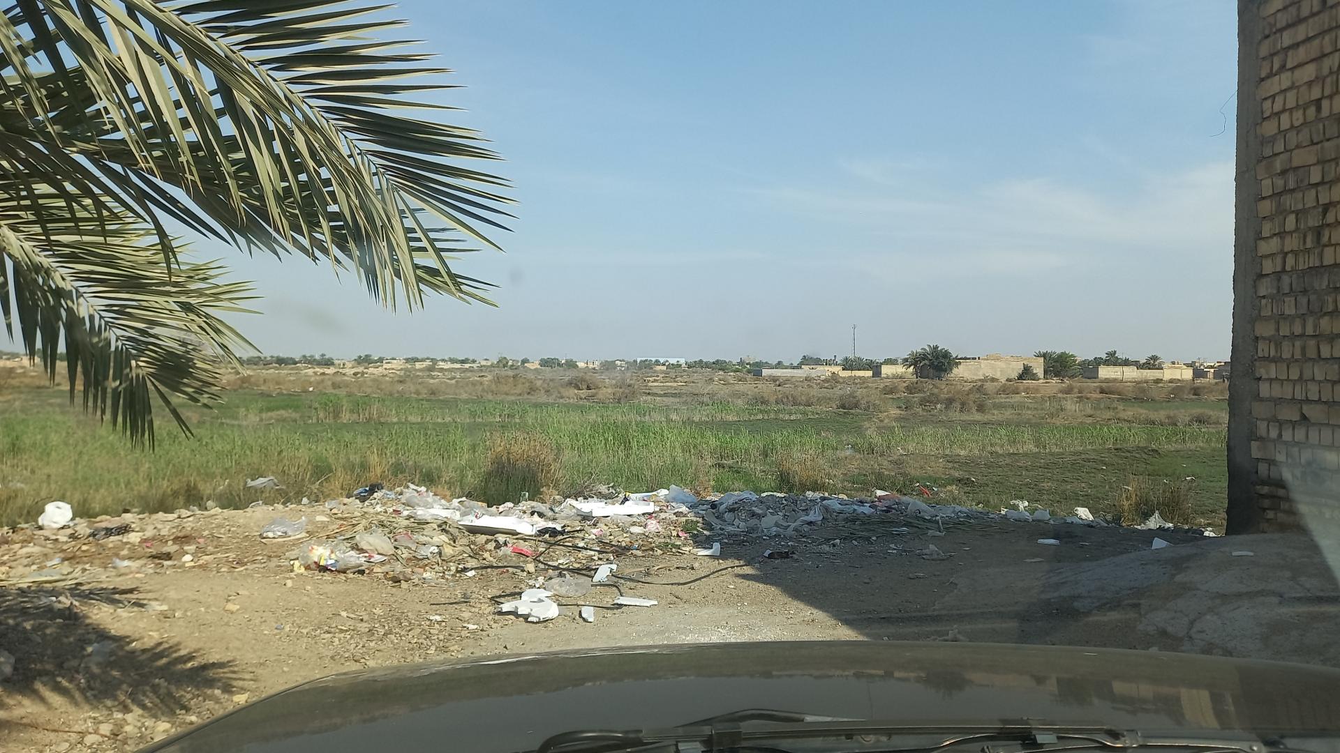 عکس تالاب ناصری (نیشکر)