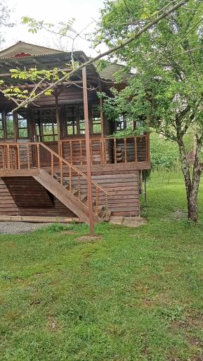 عکس اقامتگاه و کافه رستوران مشت علی