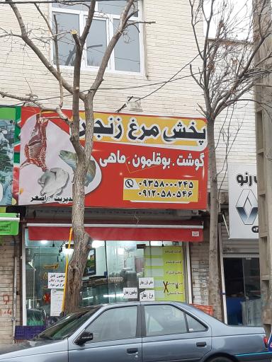 عکس پروتئین زنجان