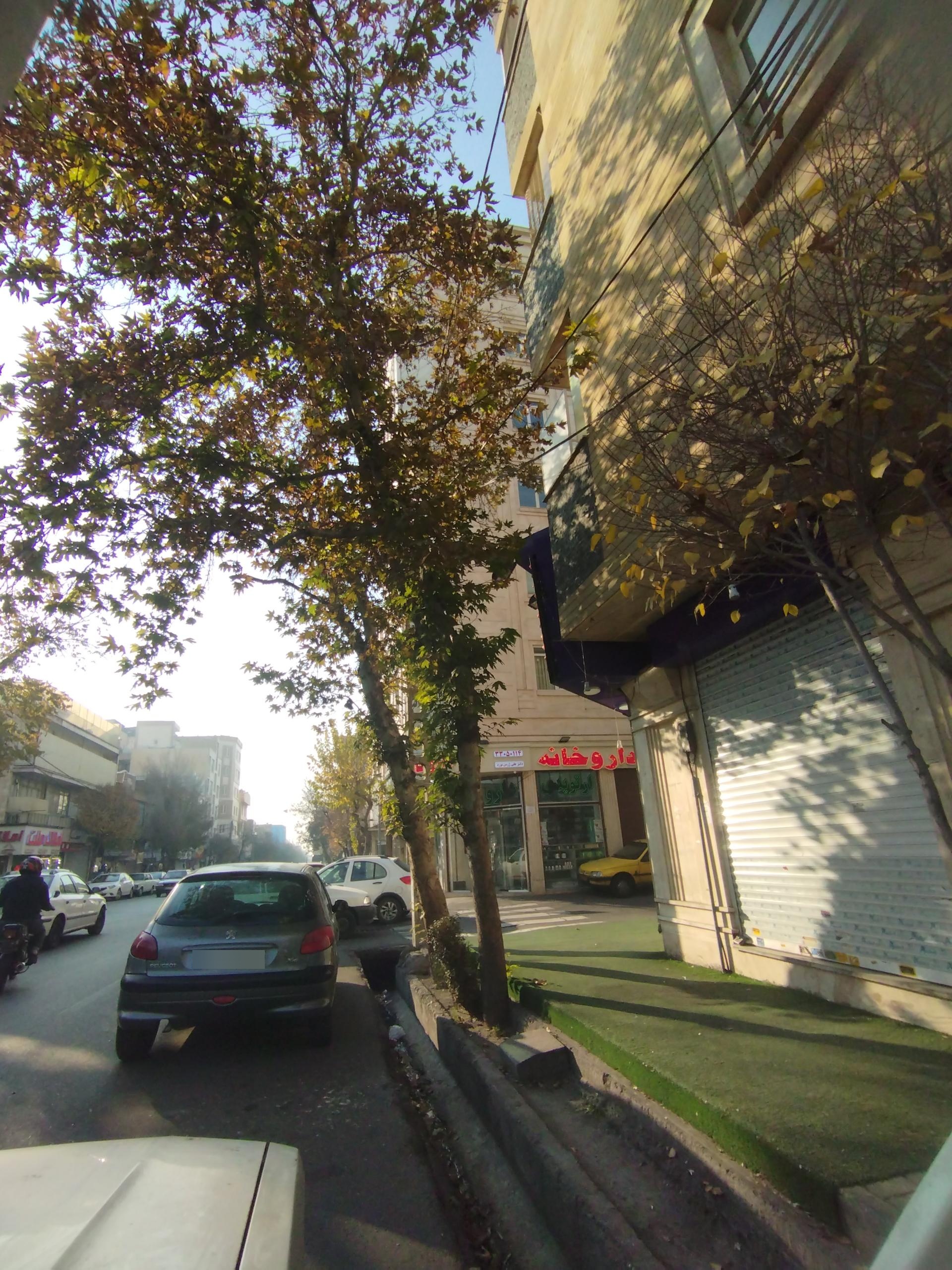 عکس داروخانه علی ژرمن نورد 