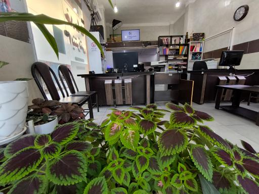  کافی نت و دفتر فنی رضایی