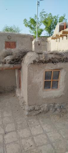 پارک شهرداری