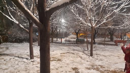 عکس بوستان آزالیا