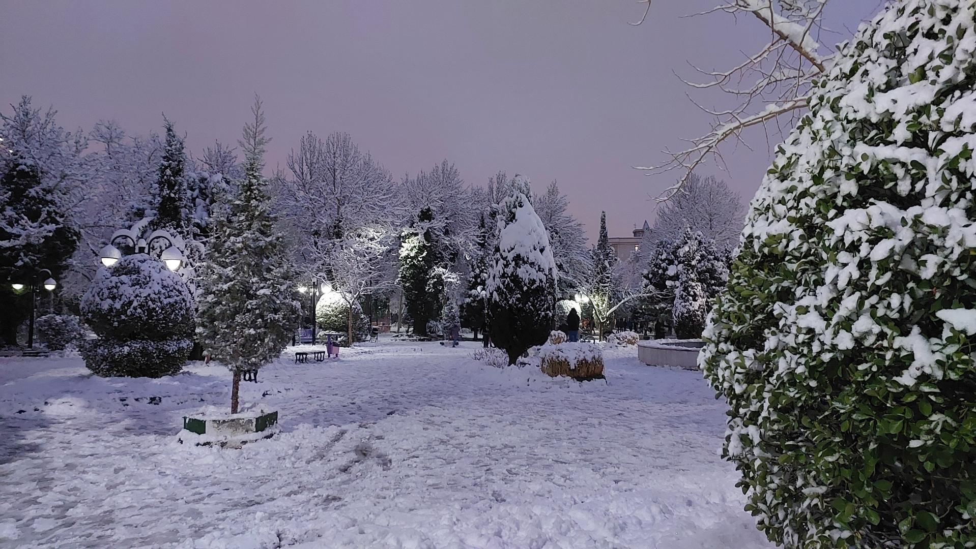 عکس بوستان گلها