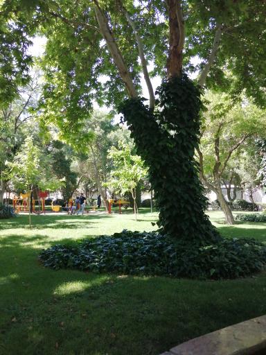 عکس بوستان گلها