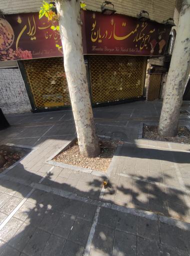 عکس آجیل و خشکبار ممتاز دریان نو