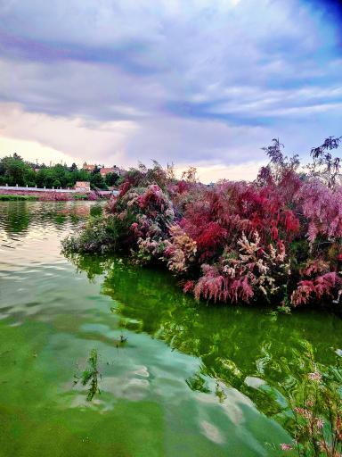 عکس دریاچه بند گلستان