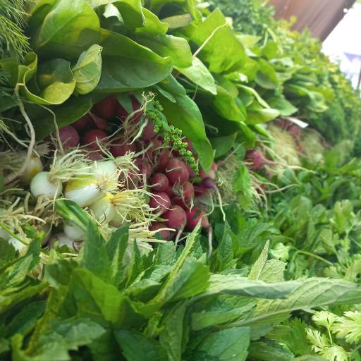 عکس میوه سرای نرخ شکن نعمتی