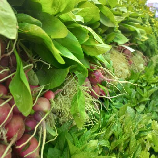 عکس میوه سرای نرخ شکن نعمتی