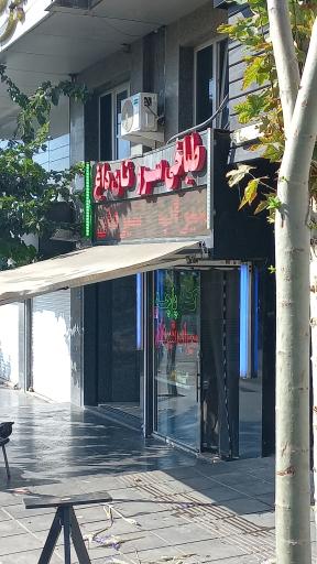 عکس طباخی سرو