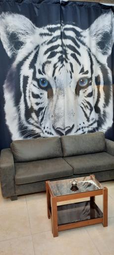 عکس آرایشگاه مردانه الماس