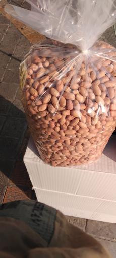 عکس پخش بادام زمینی آستانه اشرفیه