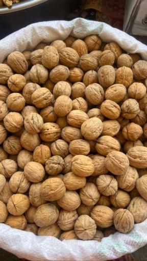 عکس پخش بادام زمینی آستانه اشرفیه