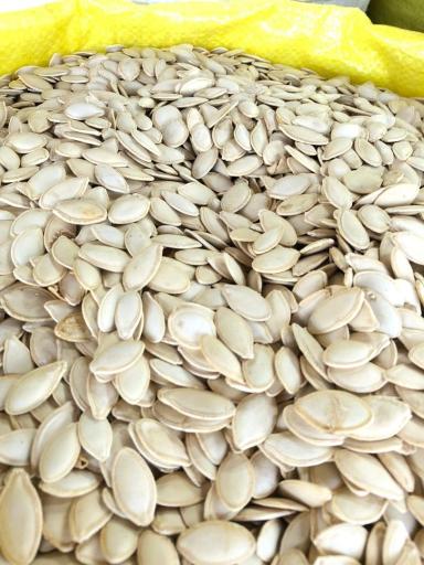 عکس پخش بادام زمینی آستانه اشرفیه