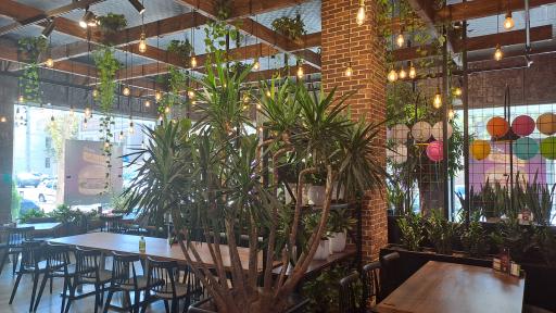 عکس پیتزاسیب ۳۶۰