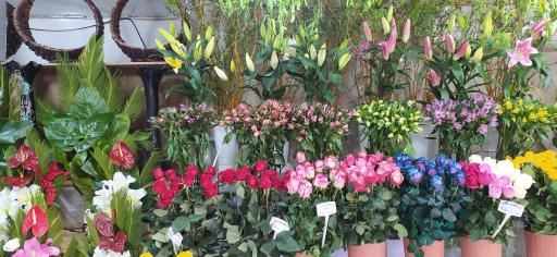 عکس گلسرای سادات