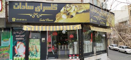 عکس گلسرای سادات