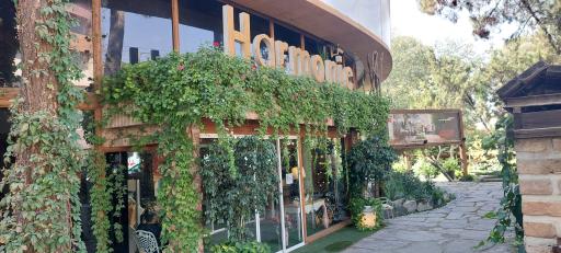 عکس هارمونی سنتر