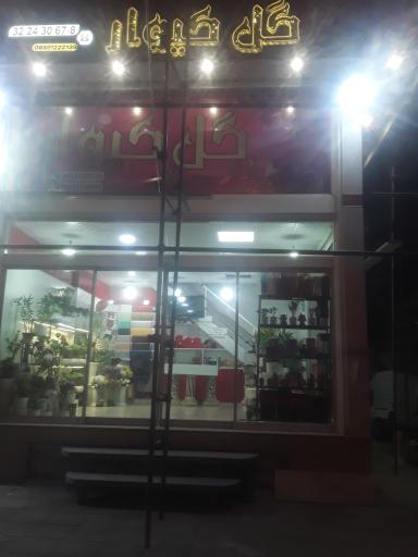 عکس گل کیوار