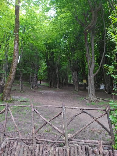 عکس پارک جنگلی درنیکا