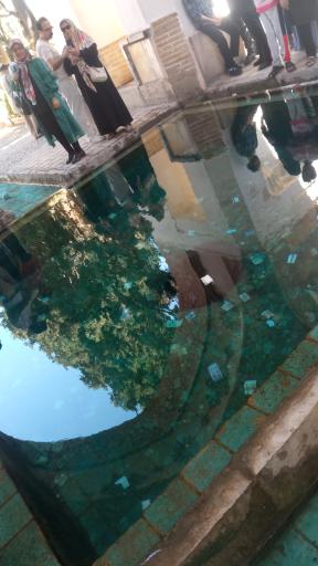 عکس حوض سکه