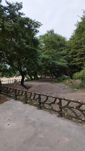 عکس پارک جنگلی درنیکا