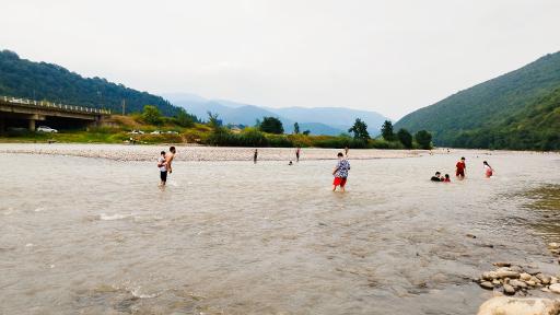 عکس پارک جنگلی درنیکا