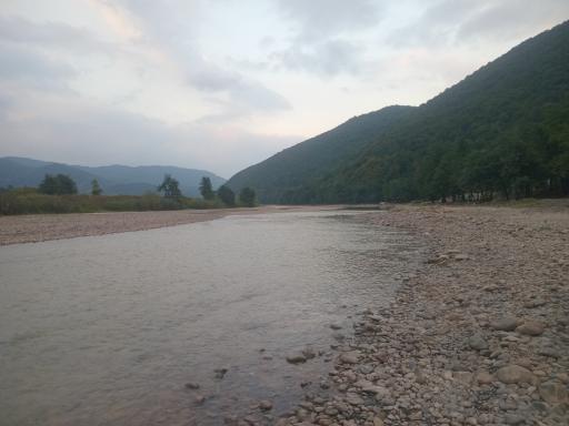 عکس پارک جنگلی درنیکا