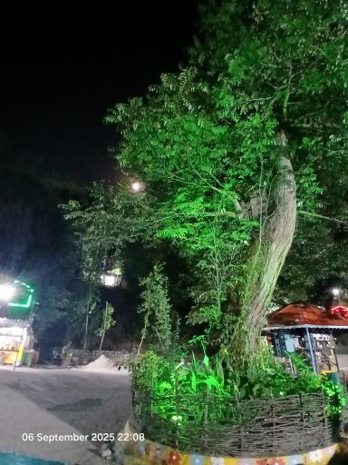 عکس پارک جنگلی درنیکا