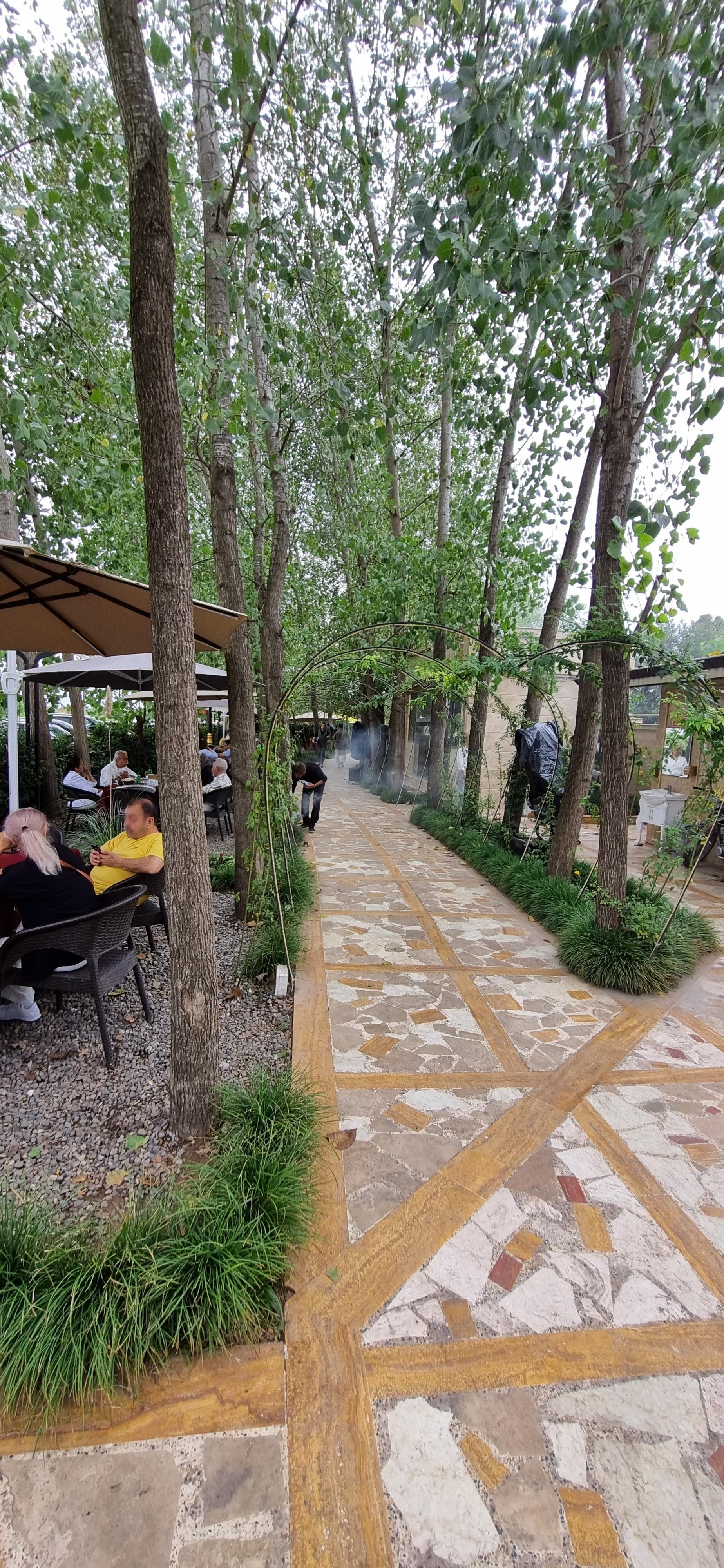 عکس کباب متری مهدی داداشی