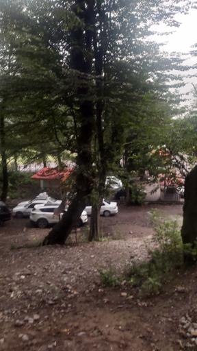 عکس پارک جنگلی درنیکا