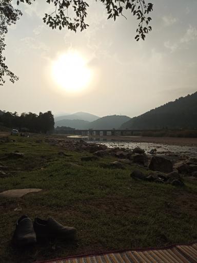 عکس پارک جنگلی درنیکا