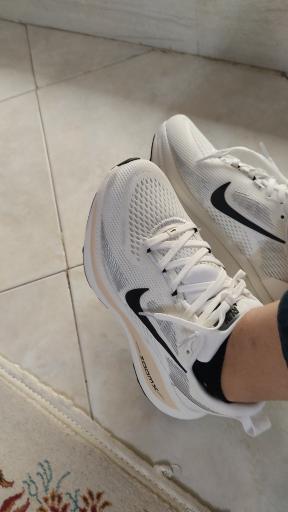 عکس فروشگاه کفش زندی