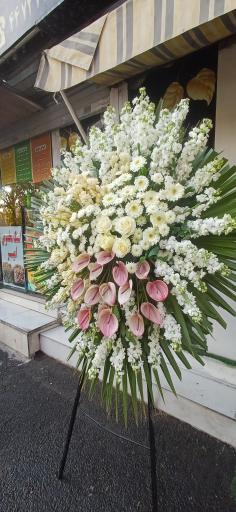 عکس گلسرای سادات