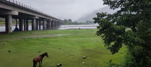 عکس پارک جنگلی درنیکا