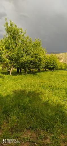 عکس سنگ سفید