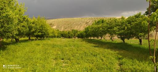 عکس سنگ سفید