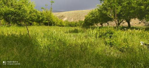 عکس سنگ سفید