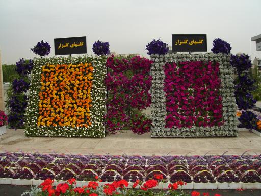 گلخانه گلزار 